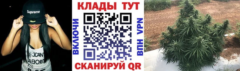 Хочу наркоту Малмыж Конопля АМФЕТАМИН Гашиш МЕФ COCAIN
