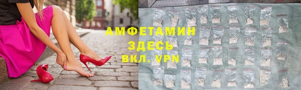 шишки Богородицк