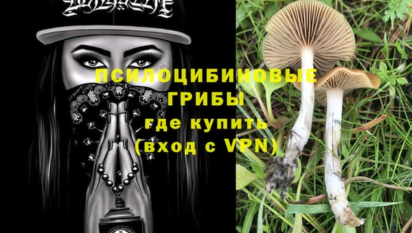 бошки Тында