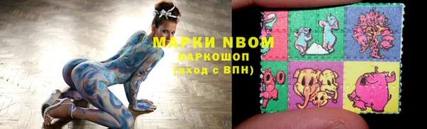 прущий лед Богданович