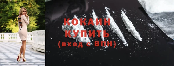 шишки Богородицк