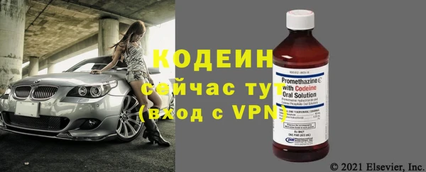 молекула духа Балахна