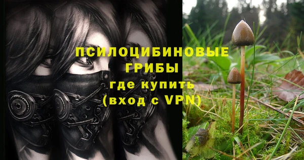 шишки Богородицк