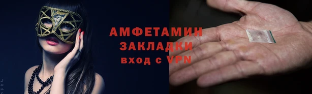 шишки Богородицк