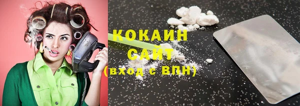 индика Верея